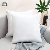 Filled Cushion Pack of 2
