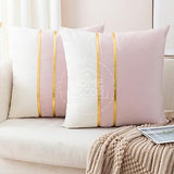 Pack of 2 Velvet Decorative Square Cushion