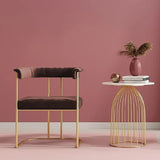 Luxury Velvet Armchair with Golden Stand- Brown