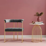 Luxury Velvet Armchair with Golden Stand- Grey