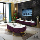 Luxury Creative Style Center Table & TV Combination Living Room Set