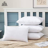 Filled Pillow Pack Of 4