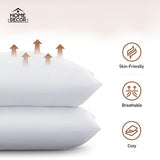 Filled Pillow Pack Of 2